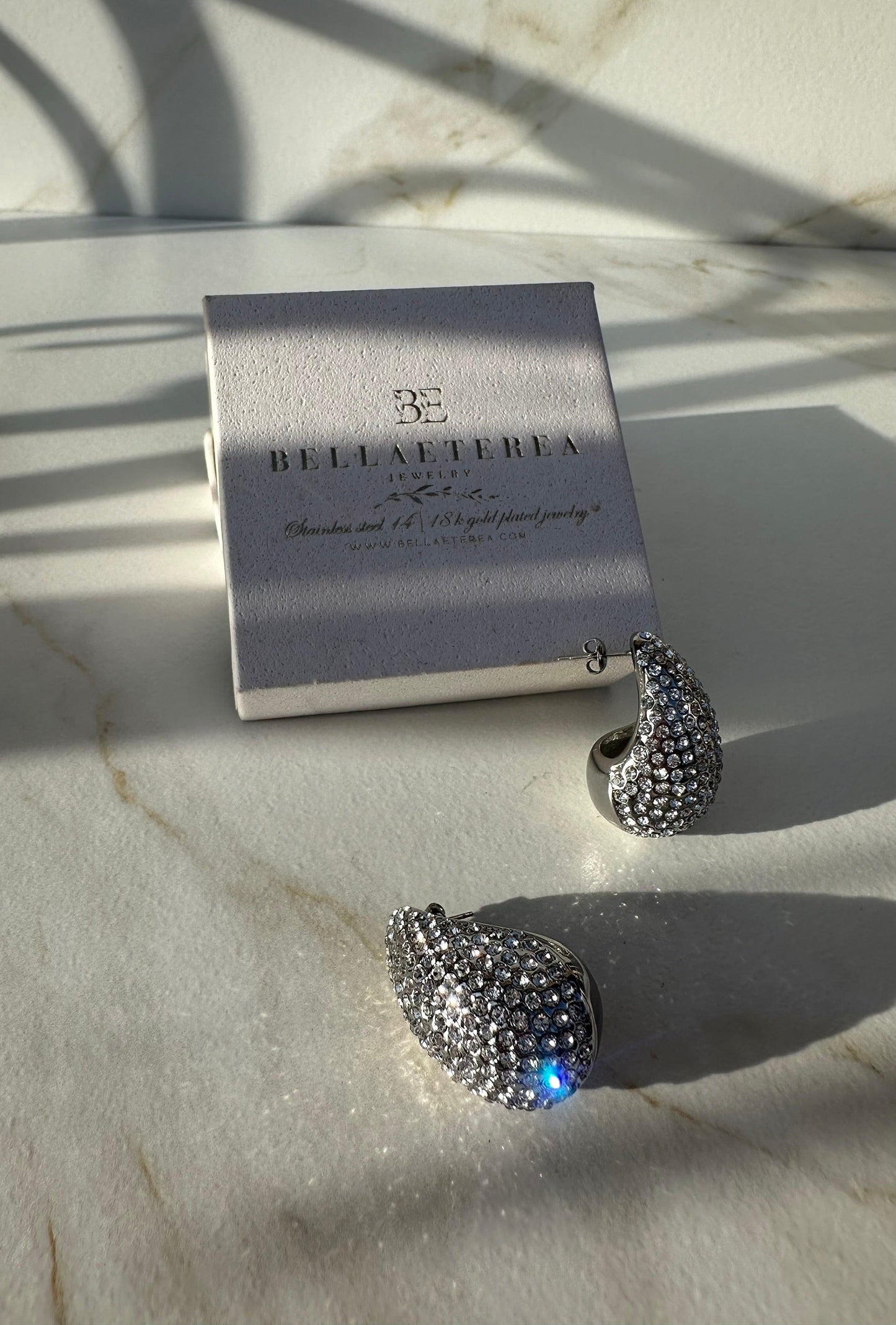 SHINY MARTINE ❥ Silver earrings