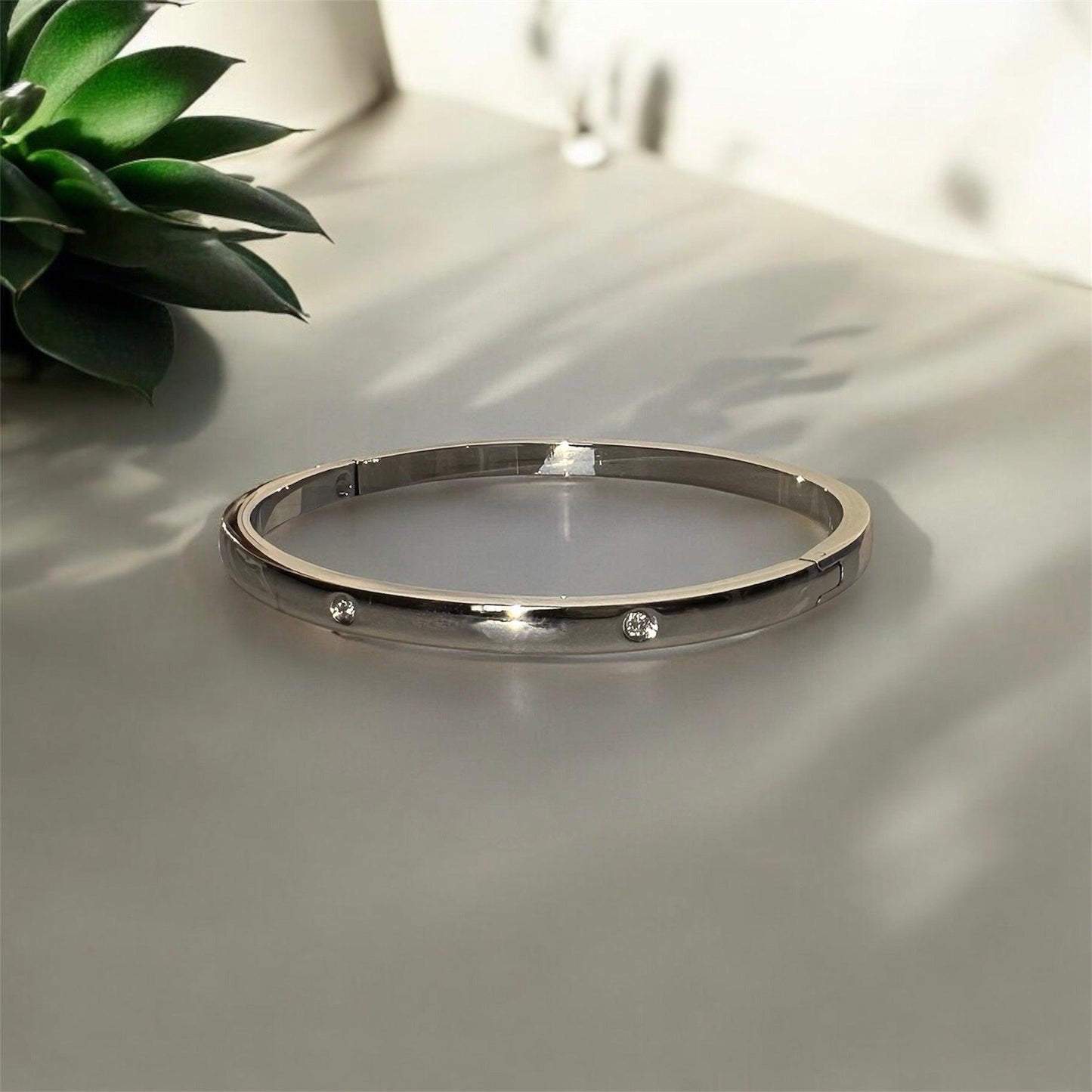 SLIM DAPHNE ❥ Silver Bangle
