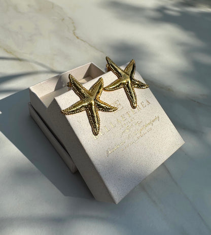 STARFISH ❥ Orecchini