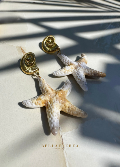 UNIQUE SHELLS ❥ Earrings