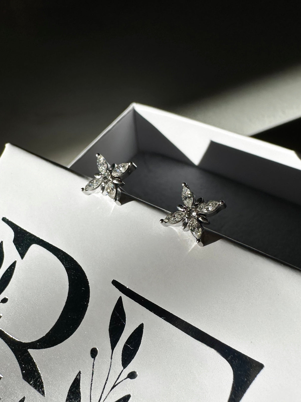 SNOW FLAKE ❥ Orecchini Silver - BELLAETEREA
